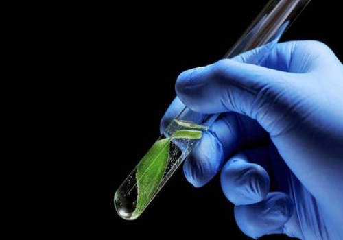 試管嬰兒完成后，準(zhǔn)媽媽該怎么吃？