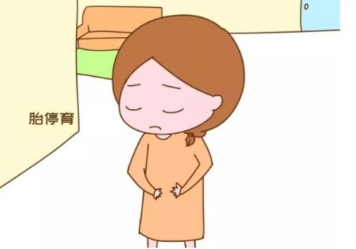 寧波供卵試管：高齡移植兩個(gè)成功率比一個(gè)高，還要考慮這些因素