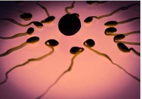 取卵后出現(xiàn)腹水用白蛋白消除效果好，具體需要使用幾天因人而異