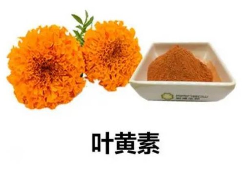 寧波試管嬰兒價(jià)格：懷孕期間服用中藥要小心，最好在醫(yī)生的指導(dǎo)下服用