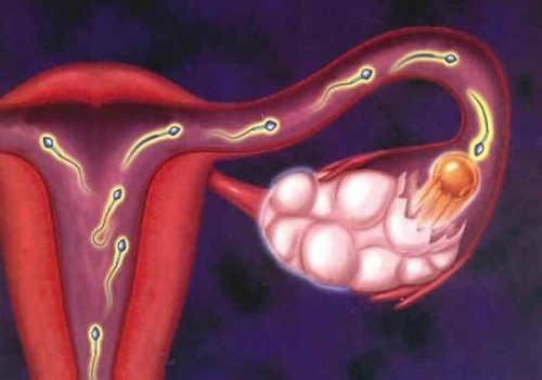 備孕調(diào)理子宮的方法一覽，喝中藥只是其中之一