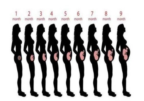 孕婦順產(chǎn)之前需要多少次的內(nèi)檢檢查？