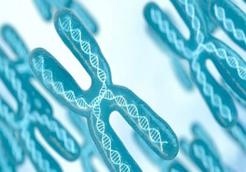 助力卵泡發(fā)育的食物清單，讓你的卵泡更好地發(fā)育。