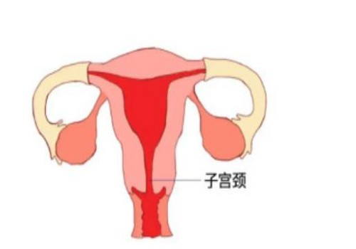 寧波助孕：順產(chǎn)和剖腹產(chǎn)優(yōu)缺點(diǎn)對比，給準(zhǔn)媽媽帶來最全面介紹